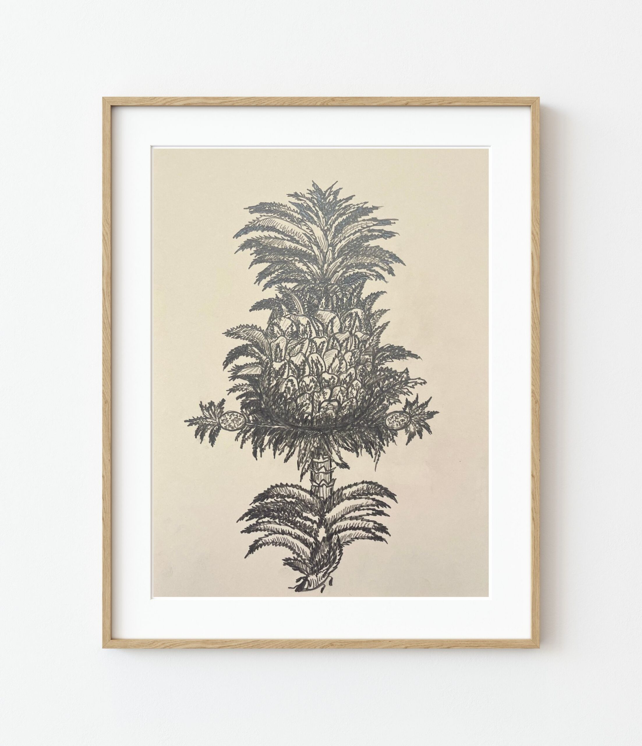Ananas